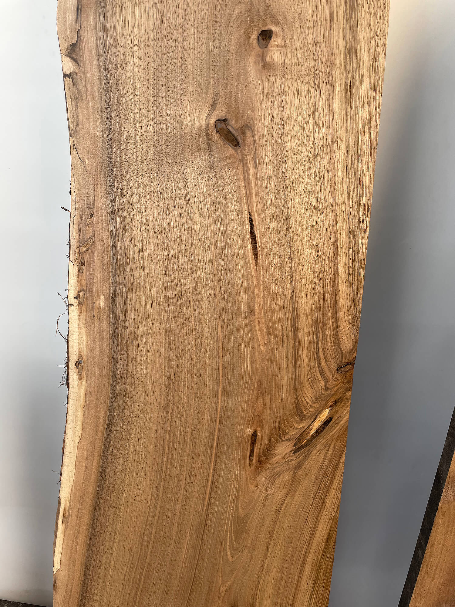 Walnut - Character Boards