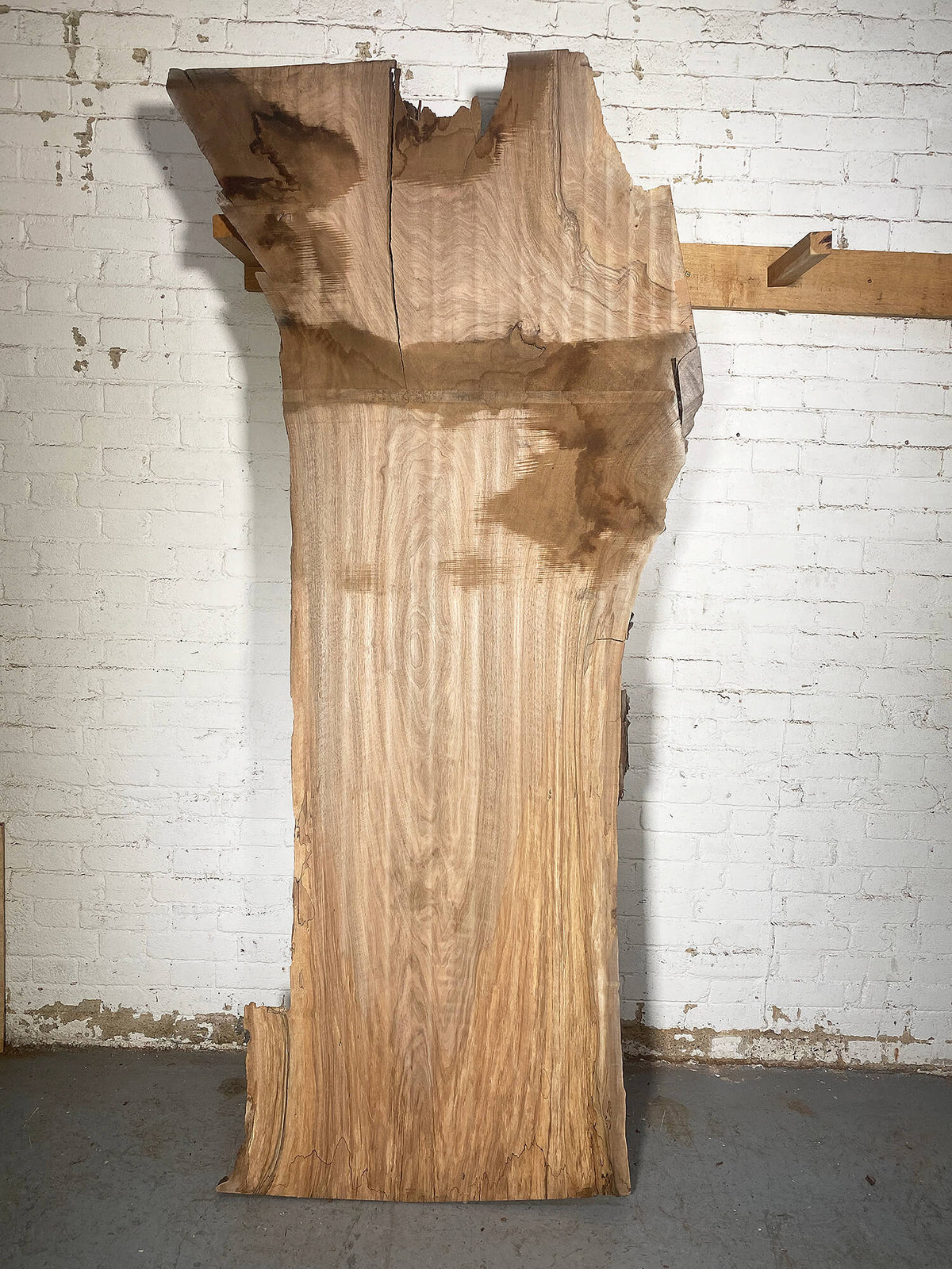 Walnut - Rustic Slab