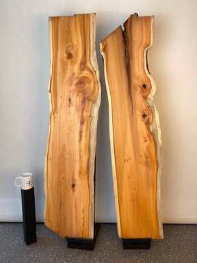 Yew - Character Boards