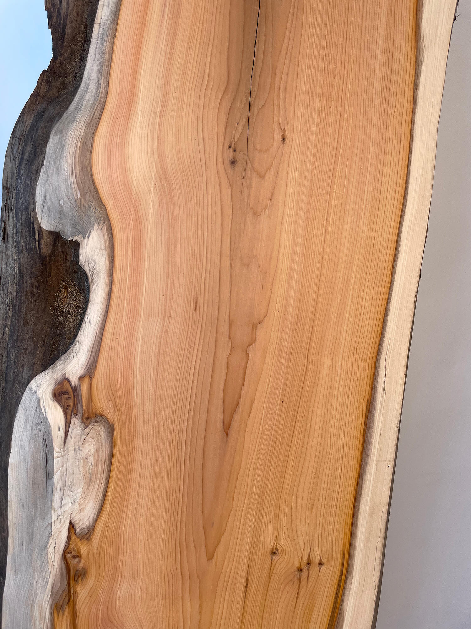 Yew - Character Boards