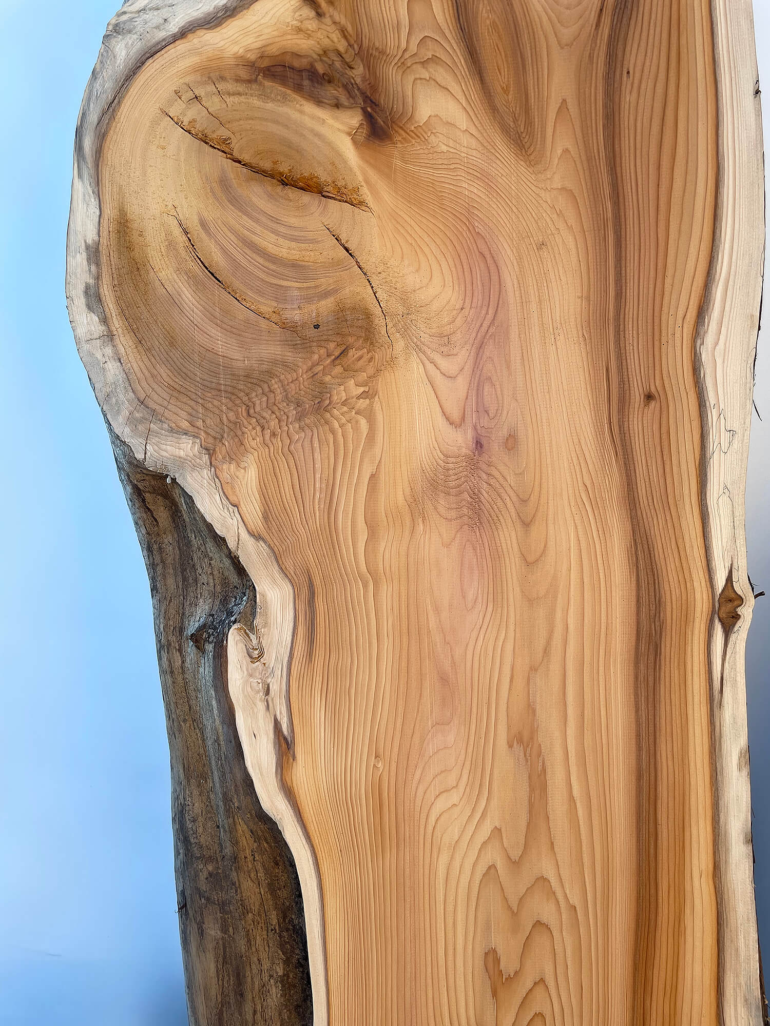 Yew - Character Boards