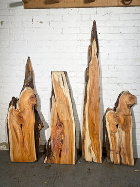 Yew - Character Boards