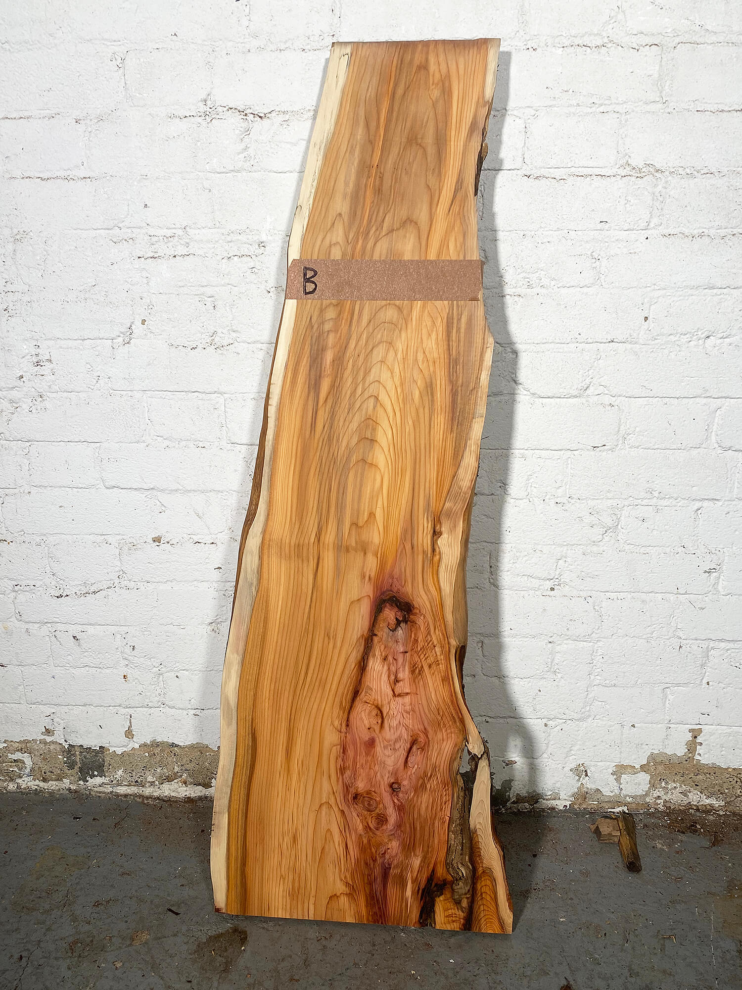 Yew - Character Boards