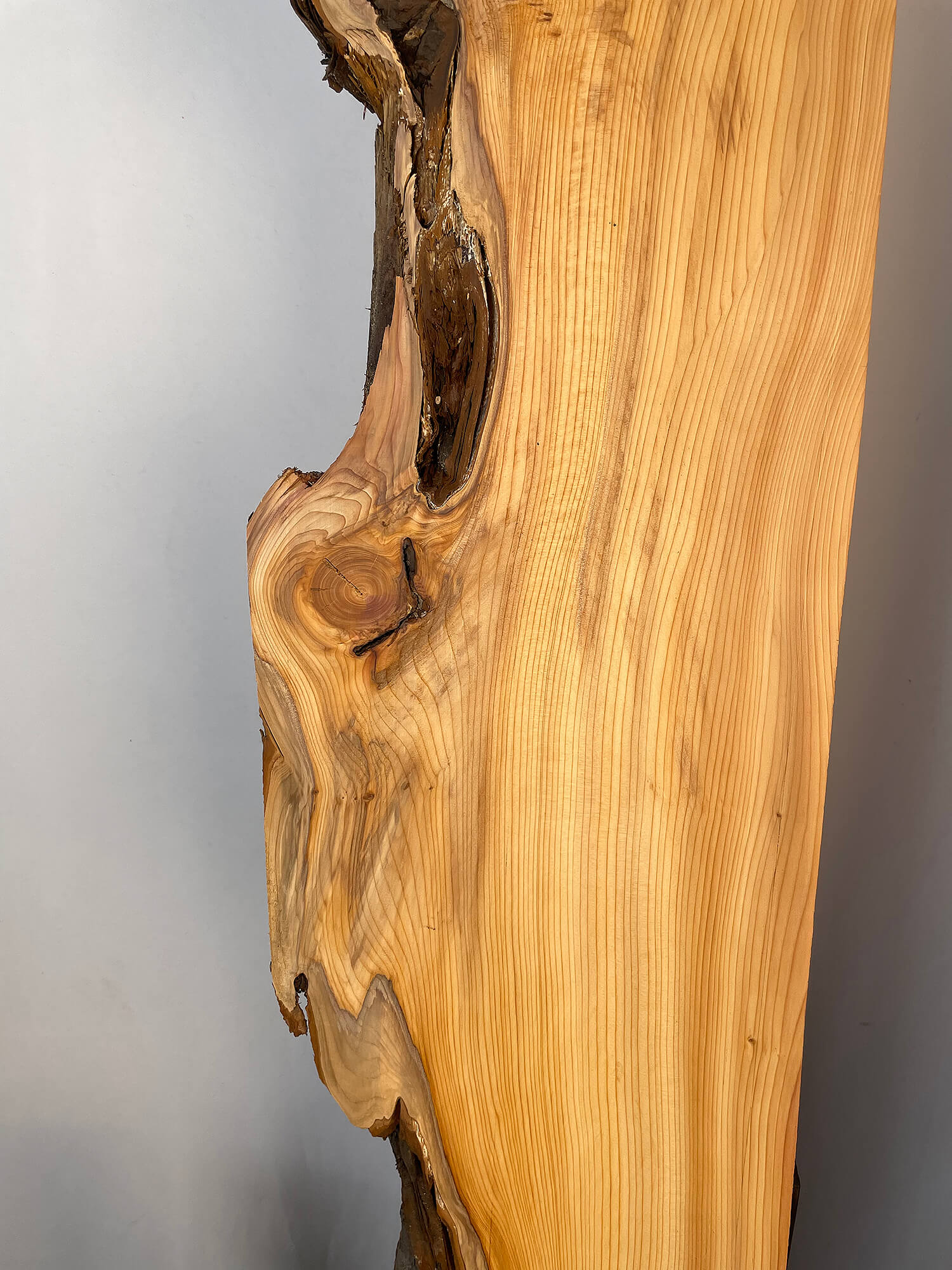 Yew - Live Edge Boards
