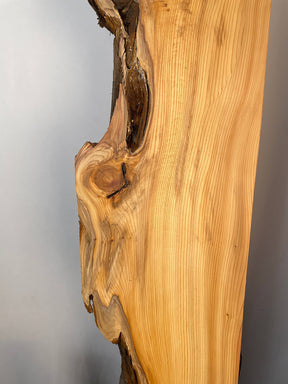 Yew - Live Edge Boards