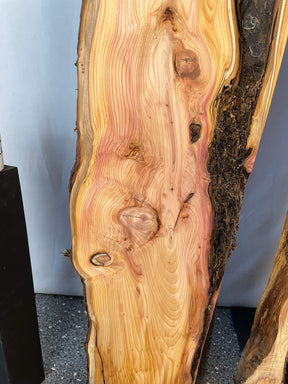Yew - Live Edge Boards