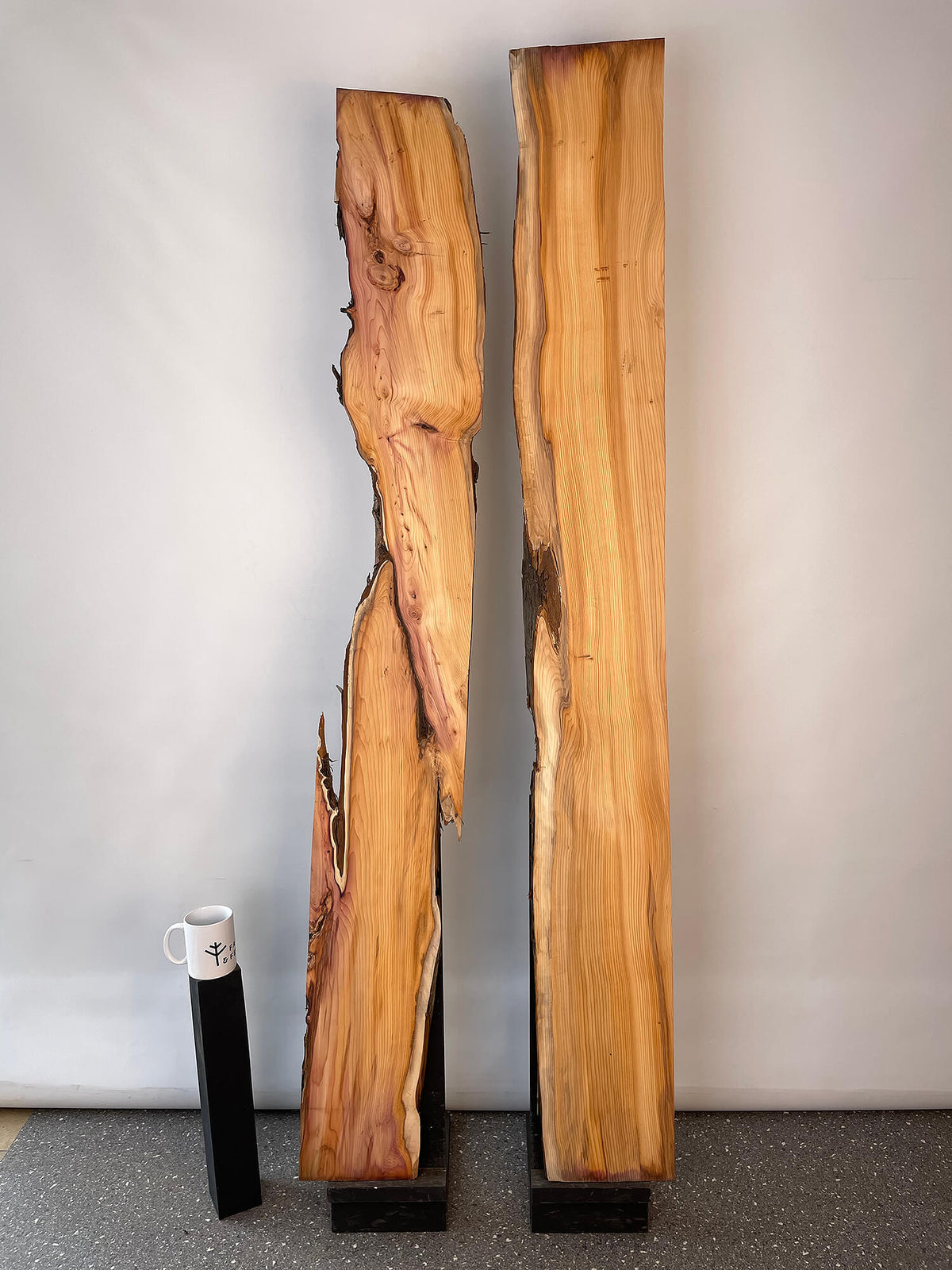 Yew - Live Edge Boards