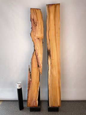 Yew - Live Edge Boards