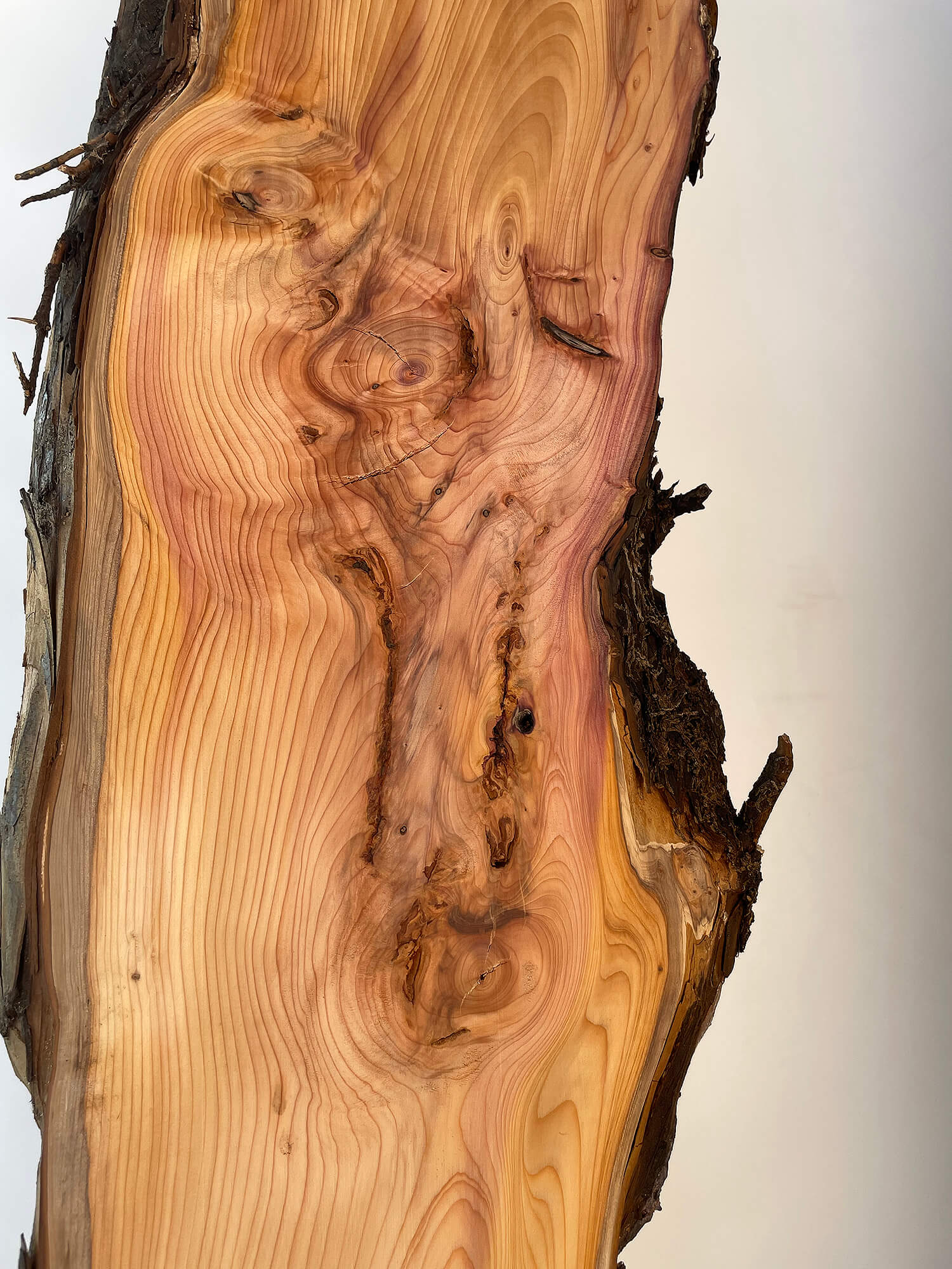 Yew - Live Edge Boards