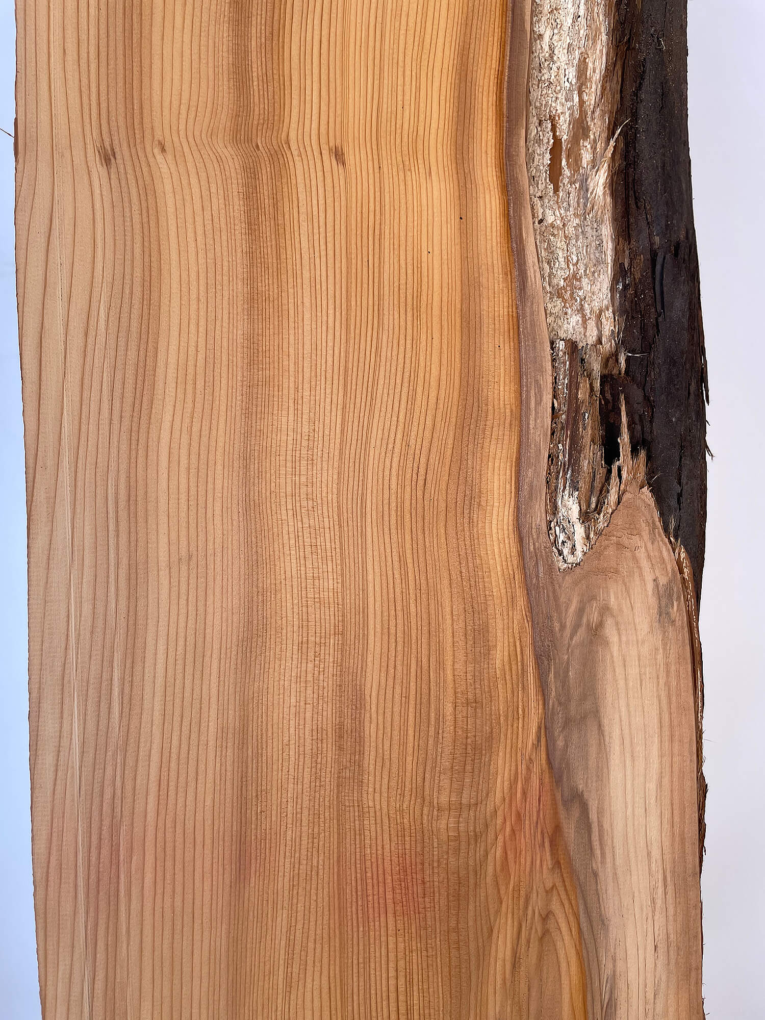 Yew - Live Edge Boards
