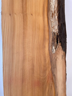 Yew - Live Edge Boards