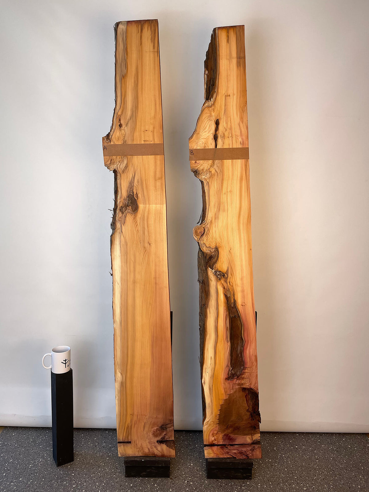 Yew - Live Edge Boards