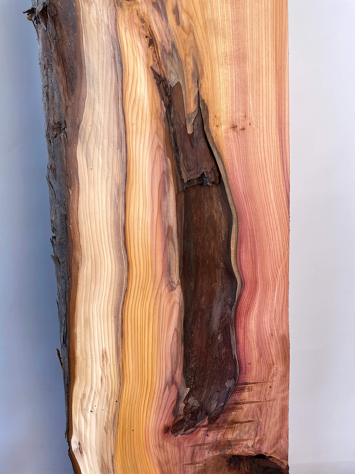 Yew - Live Edge Boards