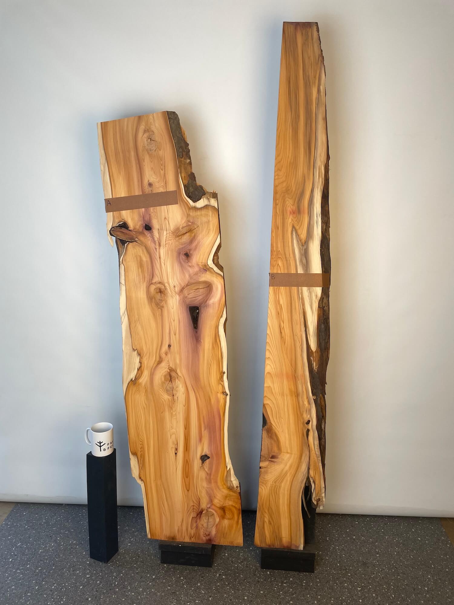 Yew - Live Edge Boards