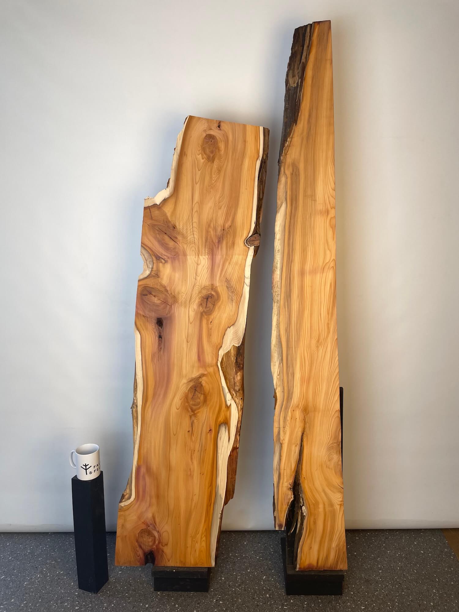 Yew - Live Edge Boards