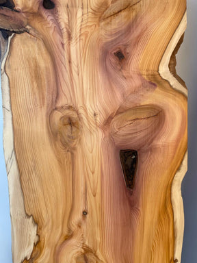 Yew - Live Edge Boards