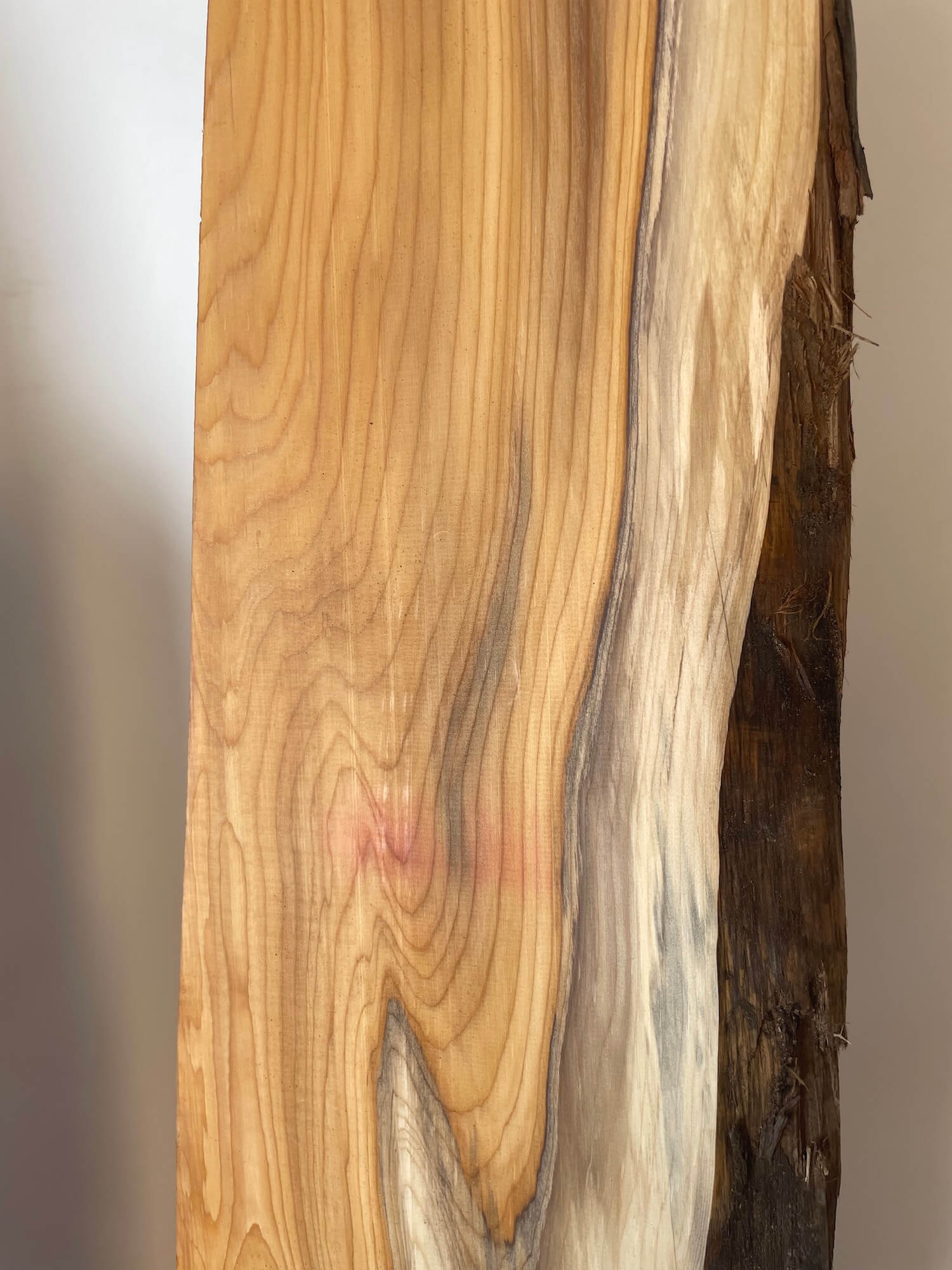 Yew - Live Edge Boards