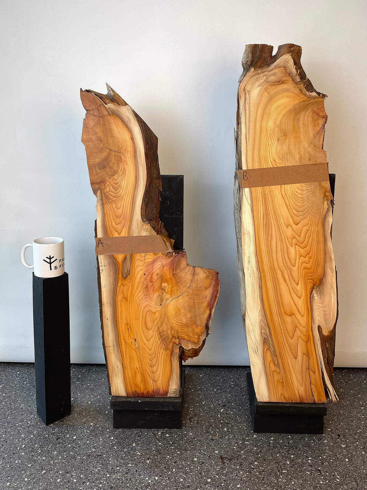 Yew - Live Edge Character Pair
