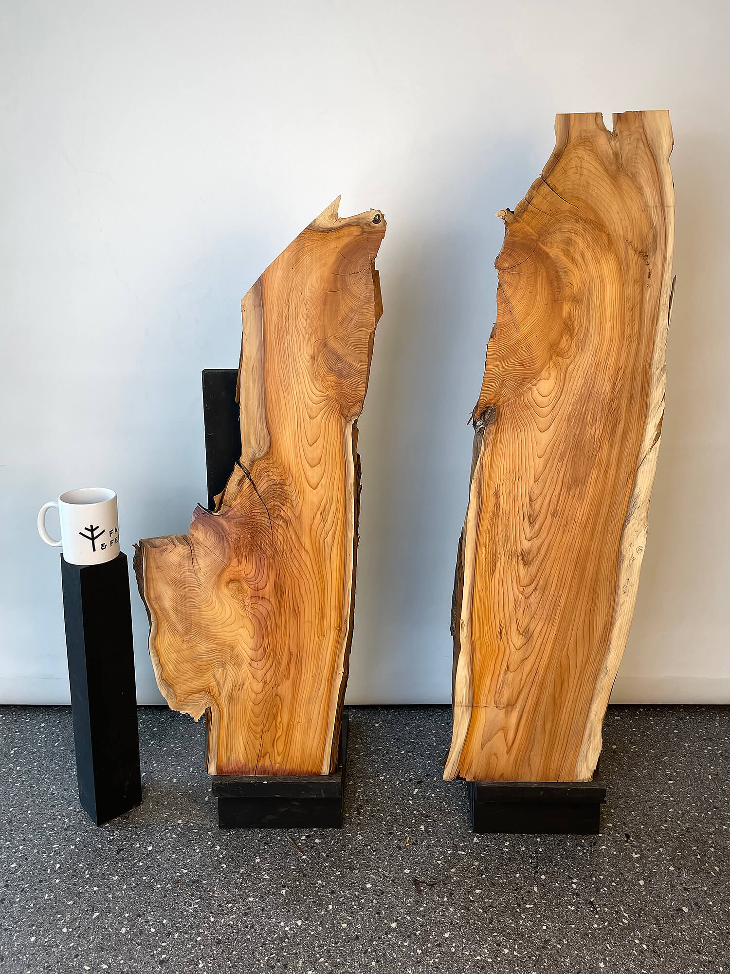 Yew - Live Edge Character Pair