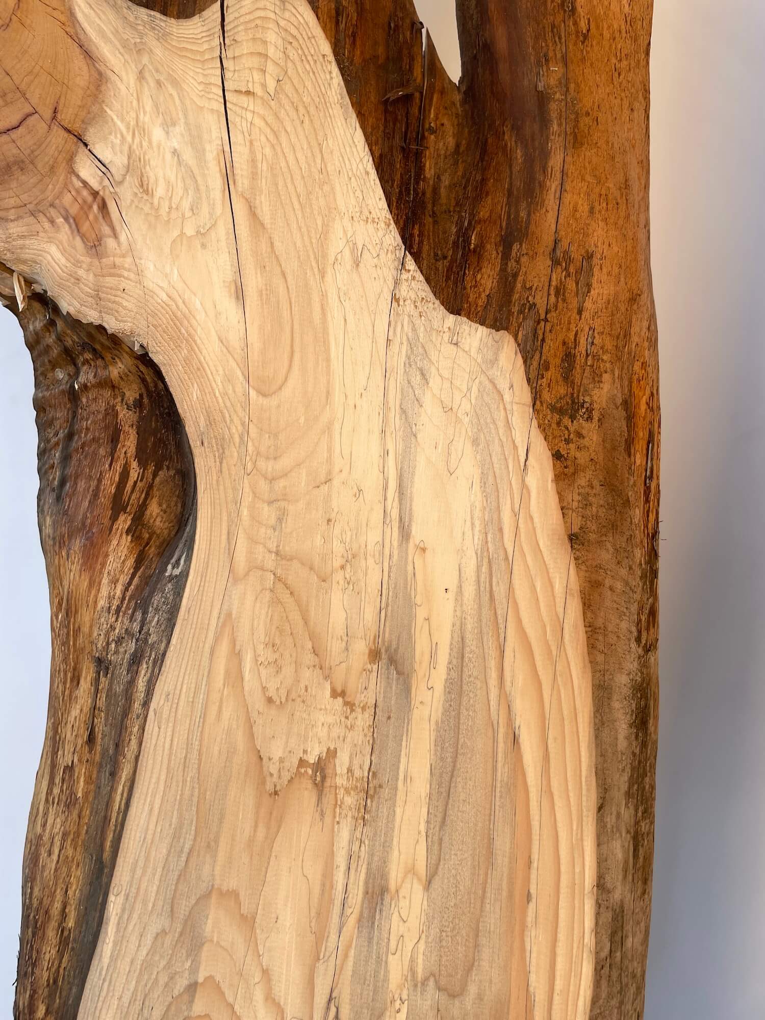 Yew - Live Edge Character Pair