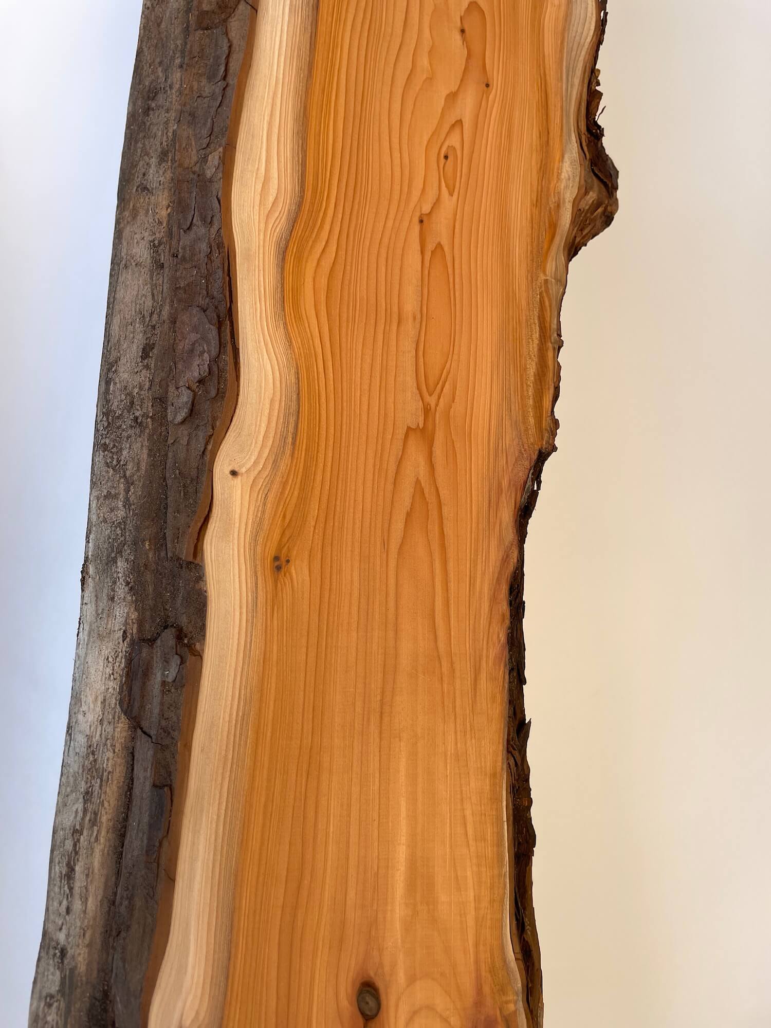 Yew - Live Edge Character Pair