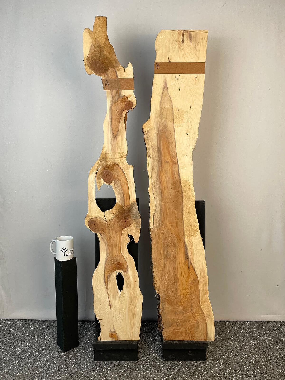 Yew - Live Edge Character Pair