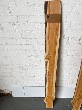 Yew - Live Edge Pair