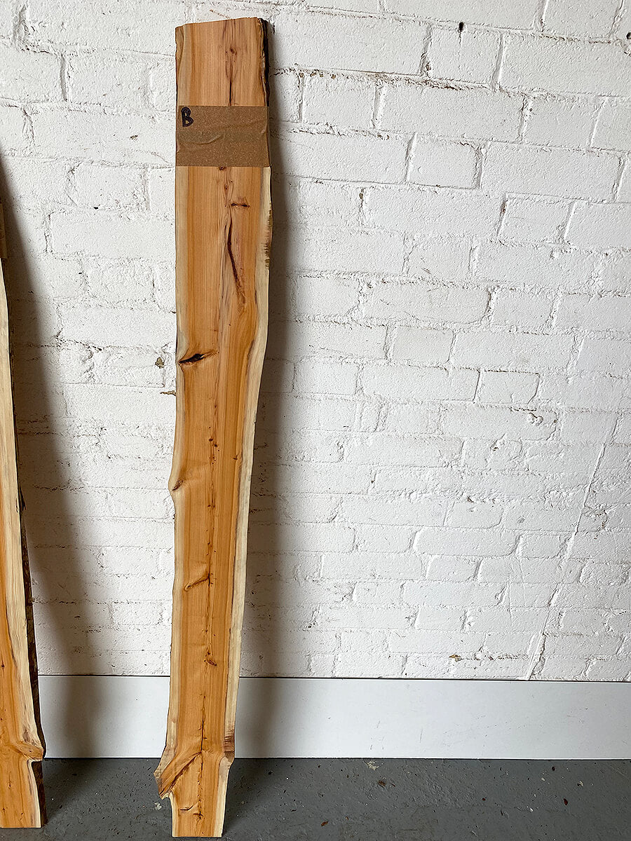 Yew - Live Edge Pair