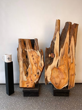 Yew - Rustic Character Pair