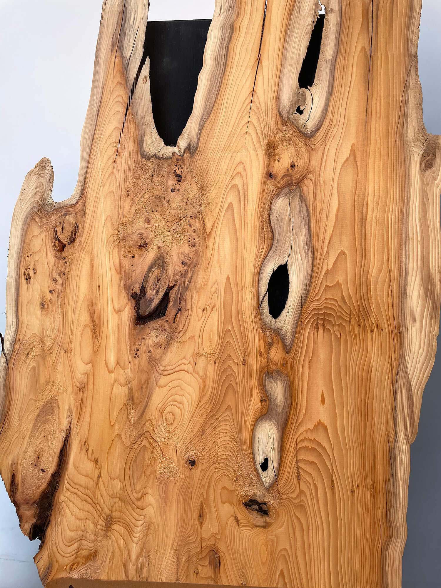 Yew - Rustic Character Pair