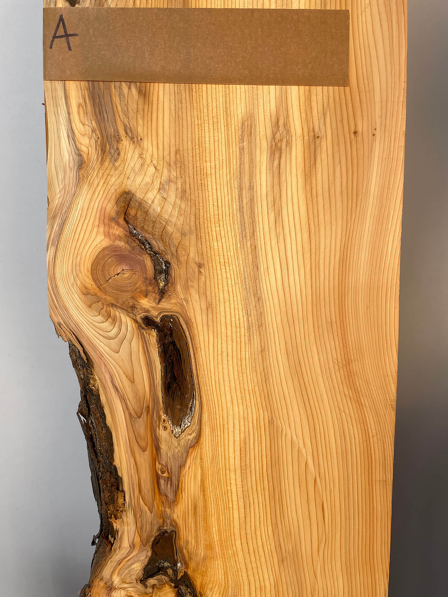 Yew - Waney Edge Boards