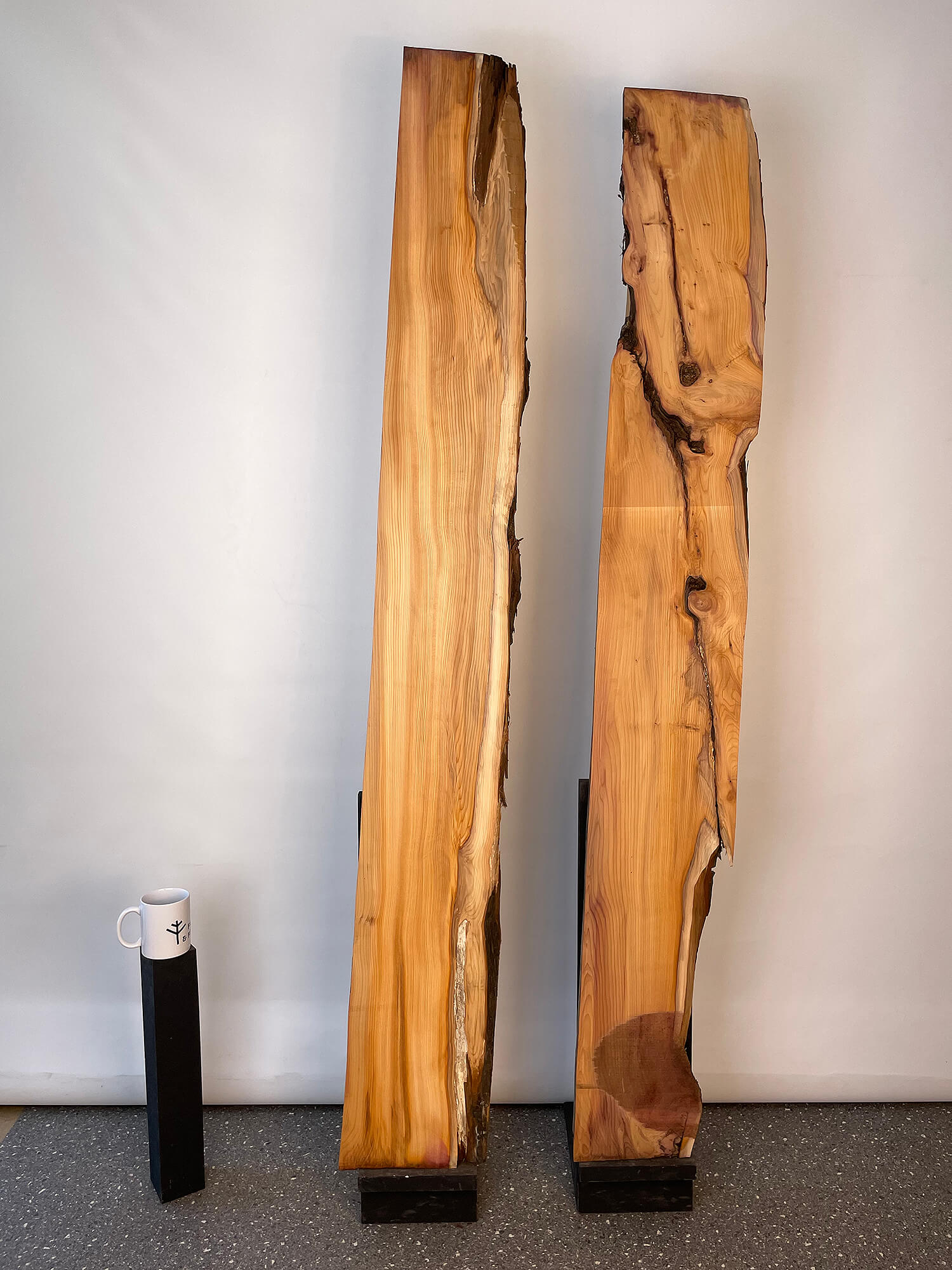 Yew - Waney Edge Boards