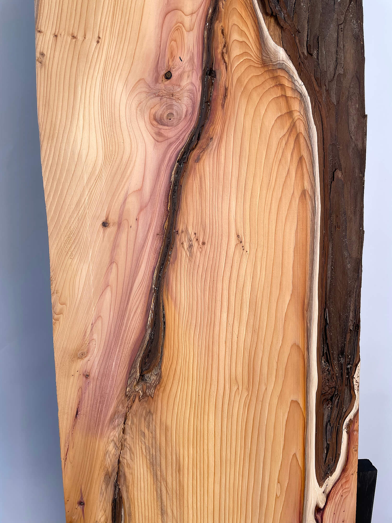 Yew - Waney Edge Boards