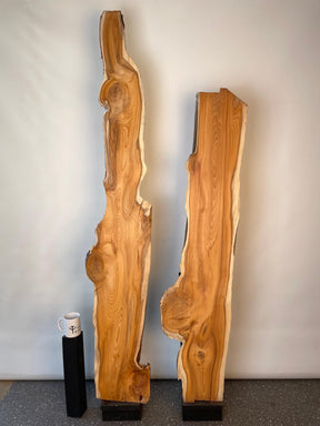 Yew - Waney Edge Boards