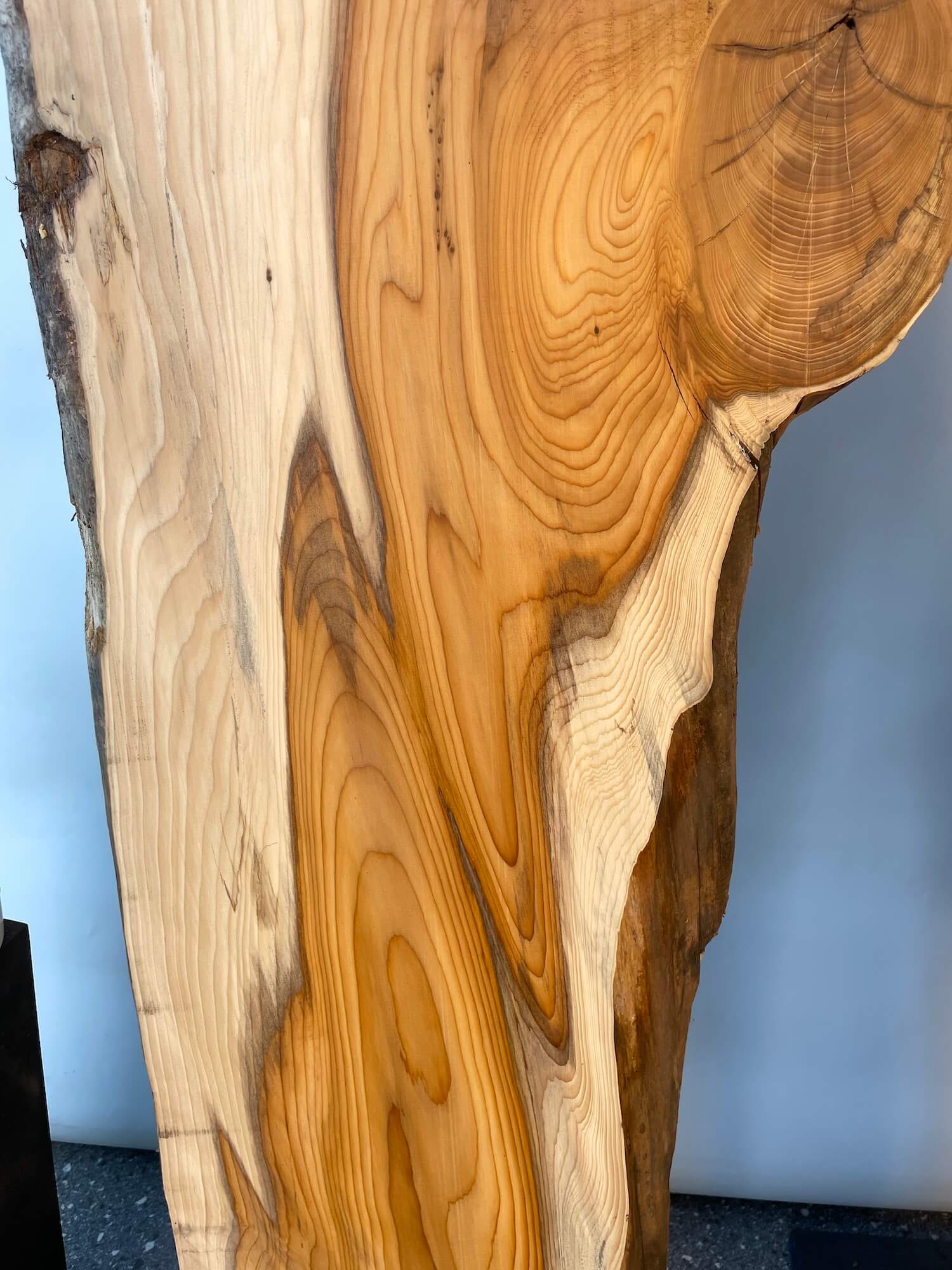 Yew - Waney Edge Boards