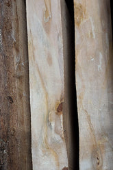 MAPLE