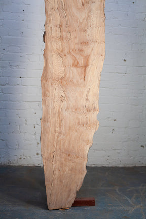 London Plane - Waney Edge Board