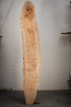 London Plane - Waney Edge Board