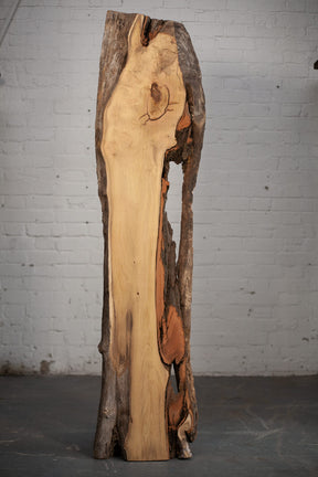 Robinia - Waney Edge Character board