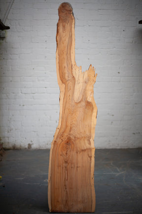 Yew - Waney Edge board